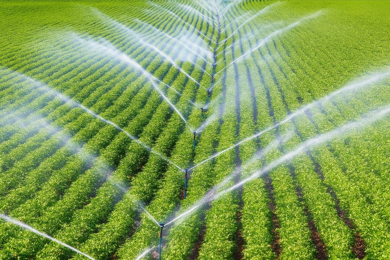 4109aaa0-a802-4c03-98d7-ab09752282d4